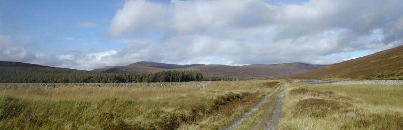 Cairngorms Path